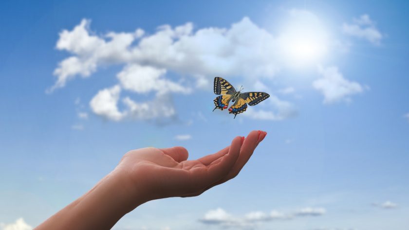 Letting Go