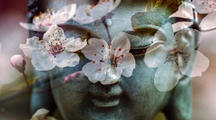 Unveiling Spiritual Diversity